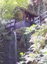 Shanklin Chine 5 * 1524 x 2032 * (921KB)